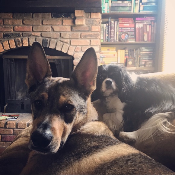 Meet your Posher, Chelsea - Picture 2 of 4